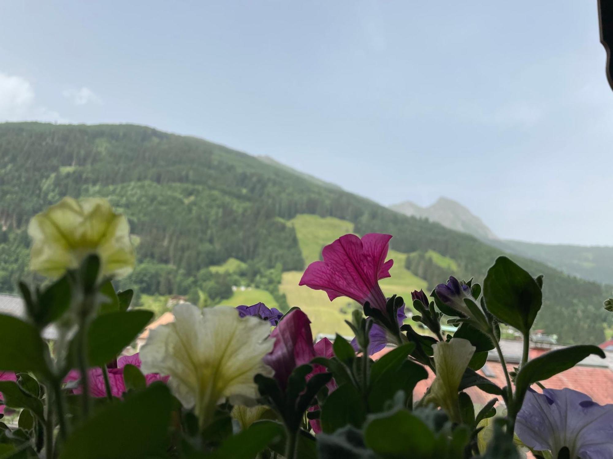 Wengerbauer Villa Dorfgastein Exterior photo